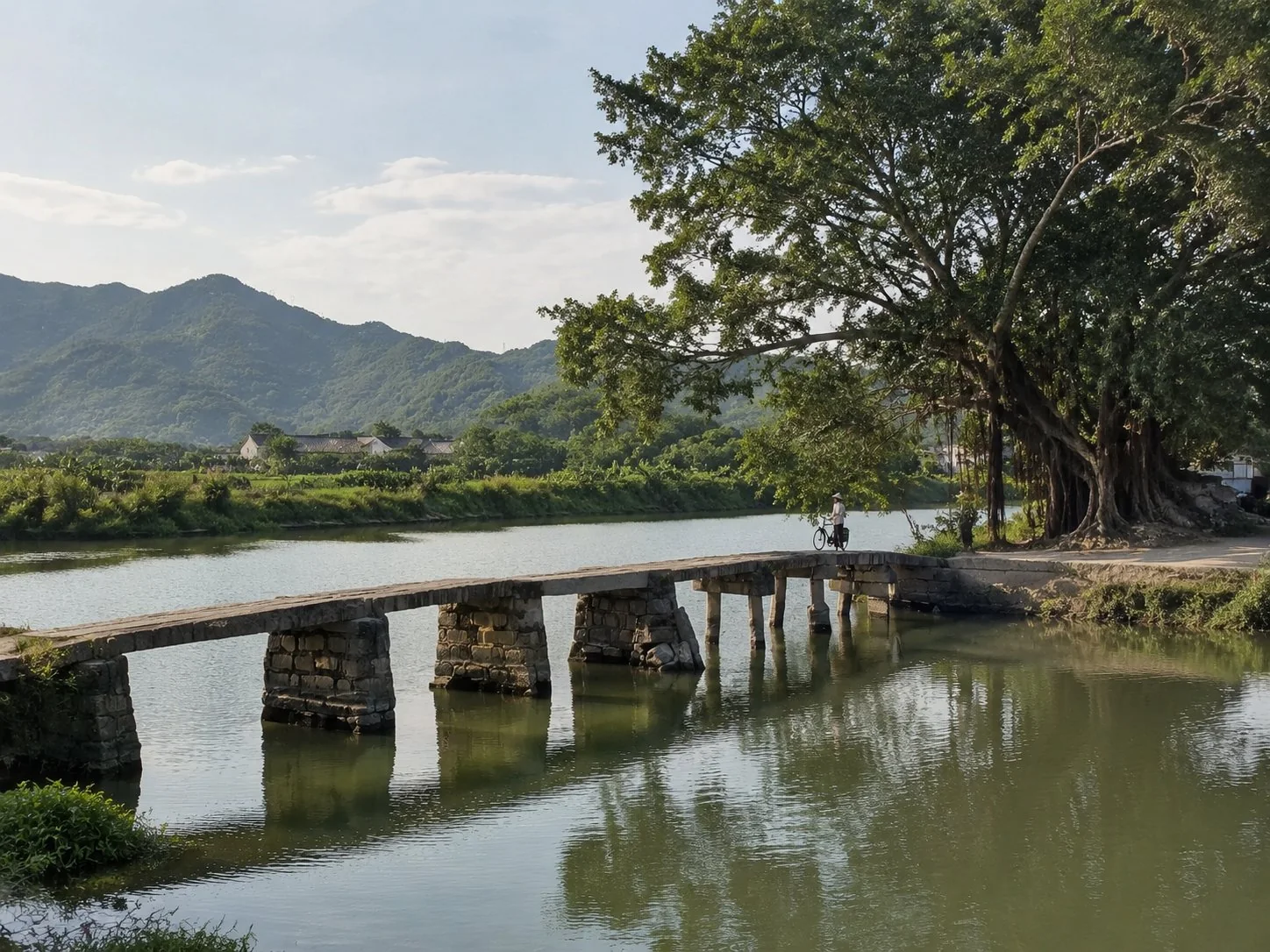 An old stone bridge and banyan tree in a Denggang village, Jieyang