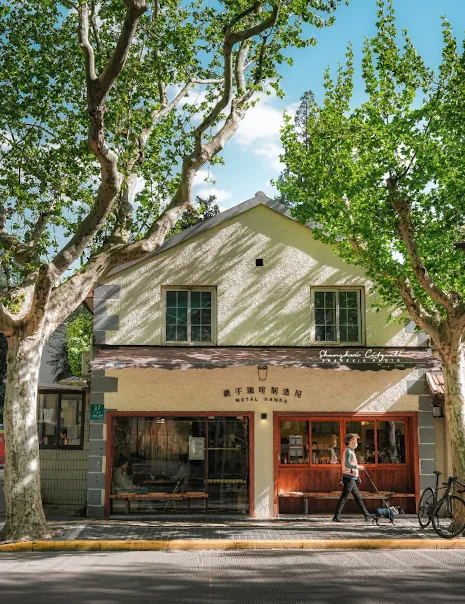 Plane-tree shaded street in the French Concession, Shanghai